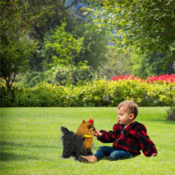 Interaktívny pes reaguje na dotykový pohyb chodí šteká York