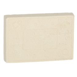 Archeologické vykopávky nastavili hmyz na jantár