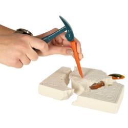 Archeologické vykopávky nastavili hmyz na jantár