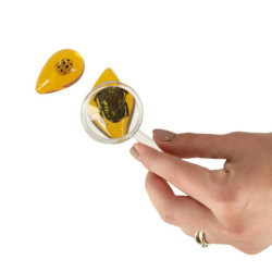 Archeologické vykopávky nastavili hmyz na jantár