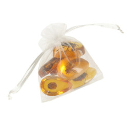 Archeologické vykopávky nastavili hmyz na jantár