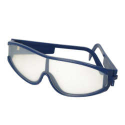 Archeologické vykopávky nastavili hmyz na jantár