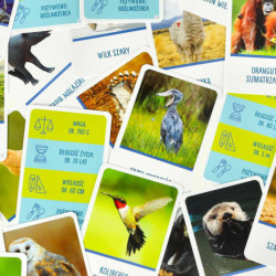 Vzdelávacia hra Na vrchole hry pre zvedavcov 8+ MULTIGRA  - polsky jazyk