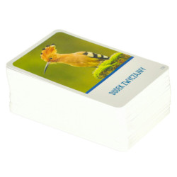 Vzdelávacia hra Na vrchole hry pre zvedavcov 8+ MULTIGRA  - polsky jazyk