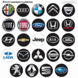 Puklice 14 RAPIDE silver and black