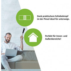 Mucholapka so štetinami