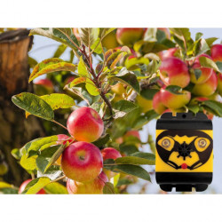 Plašič vtákov a holubov na batérky so strobo modrým svetlom